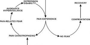 4-affordable-tools-to-help-ease-your-back-pain 4-affordable-tools-to-help-ease-your-back-pain